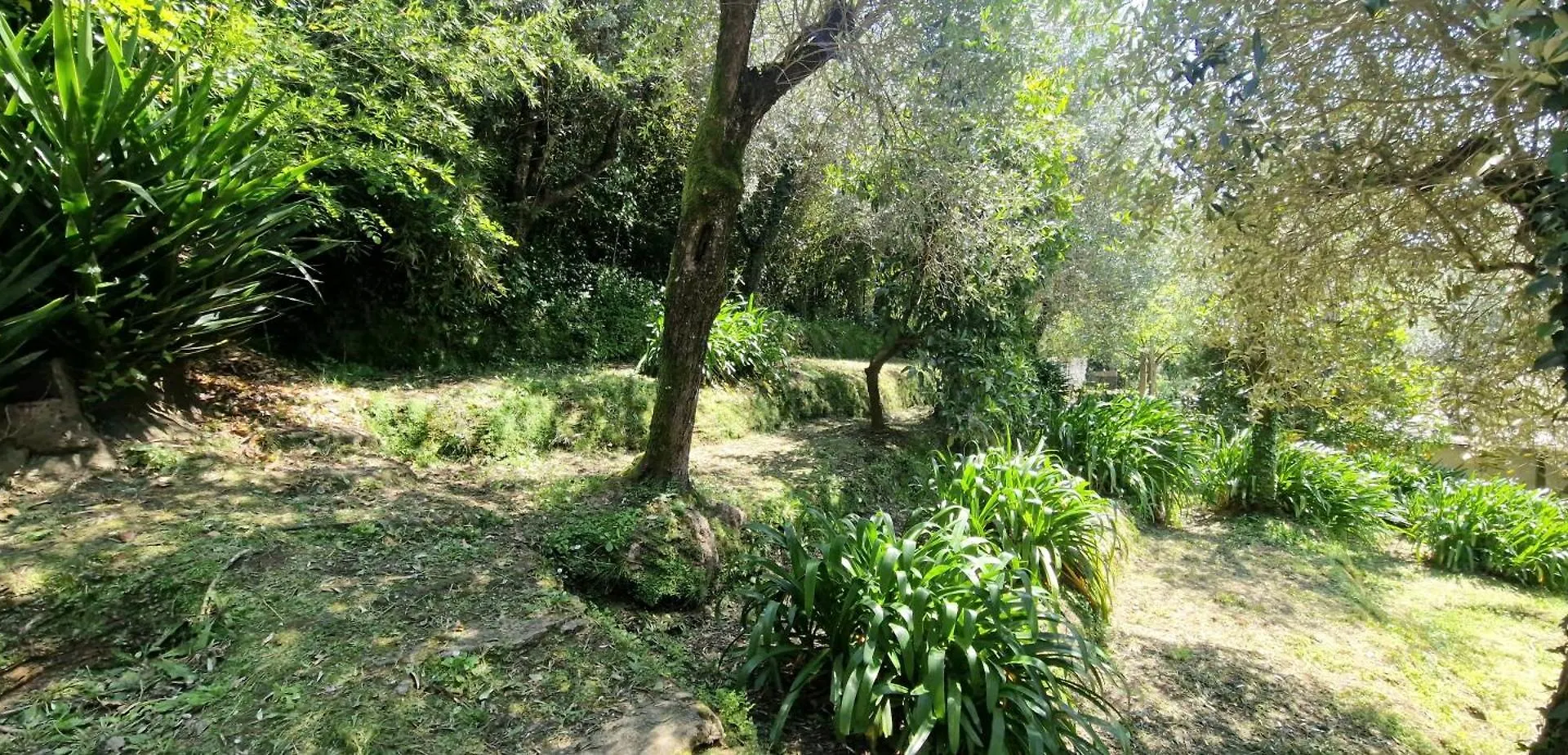 Giardino D'Amore By Belcanto Villas Mommio Italie