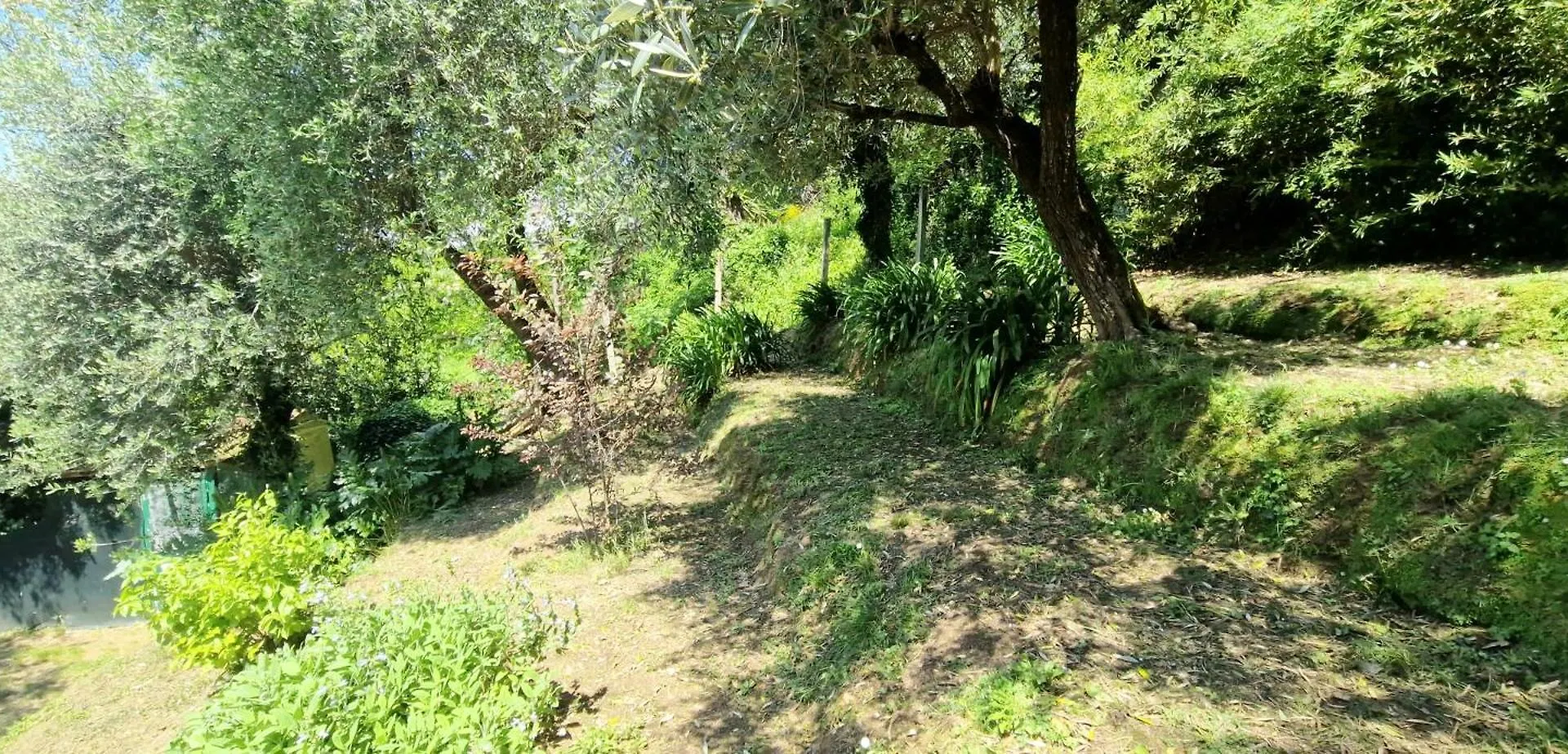 Giardino D'Amore By Belcanto Villas Mommio Hébergement de vacances