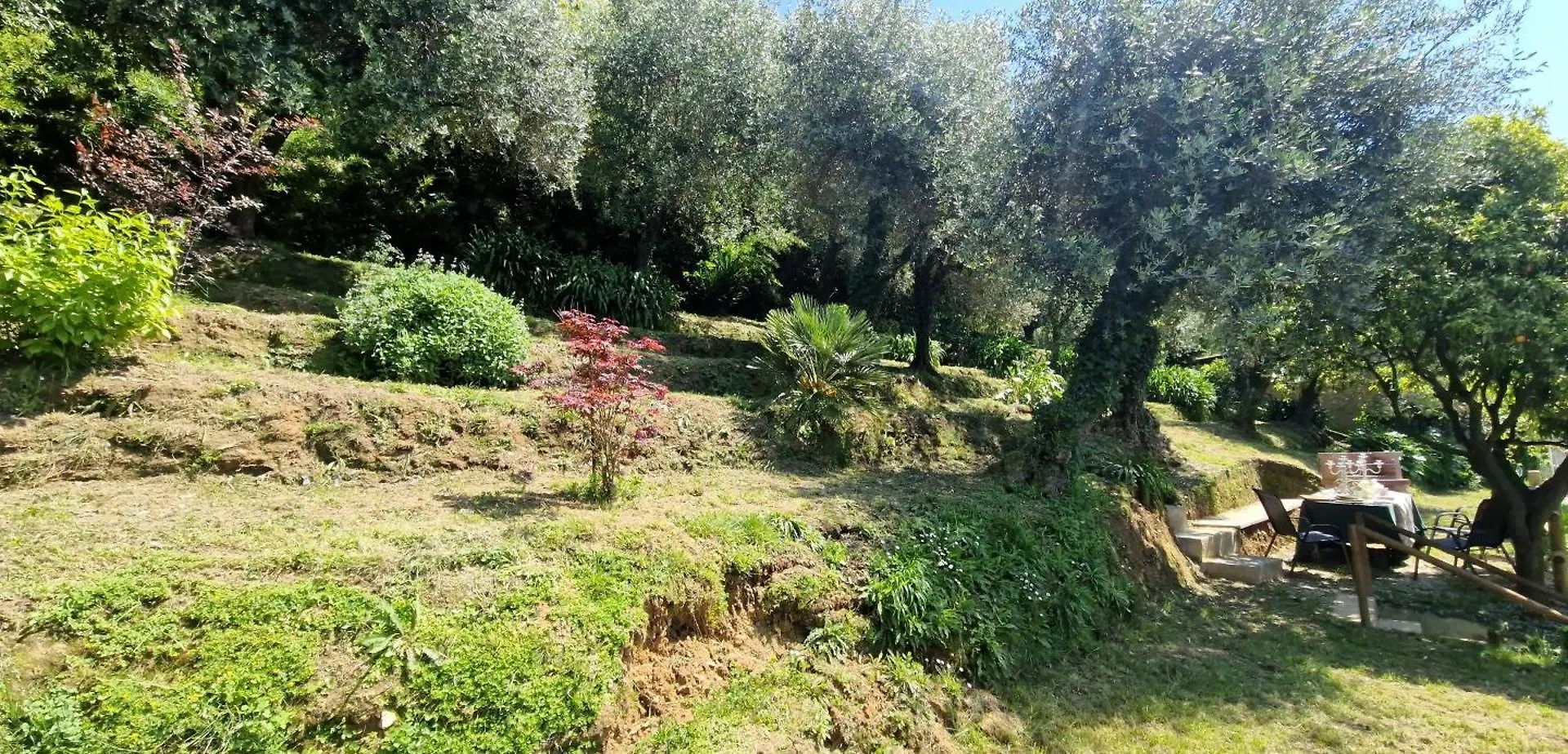 Giardino D'Amore By Belcanto Villas Mommio